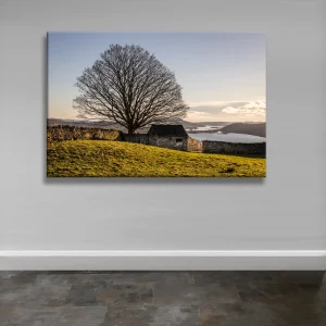 Windermere view with hillside trea and shed