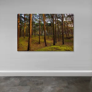 Formby Trees Canvas and Framed prints