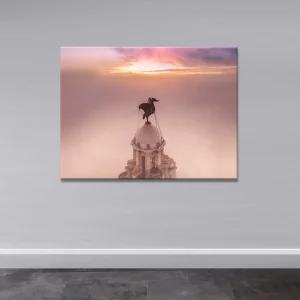 Warm Liver Bird Sunrise Through The Fog